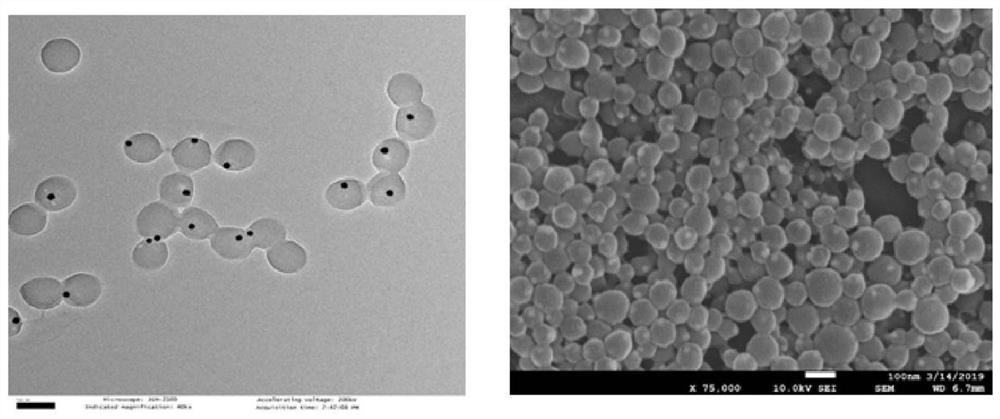 Preparation method and use of a non-biological nano-artificial antibody specifically targeting Alzheimer's disease markers