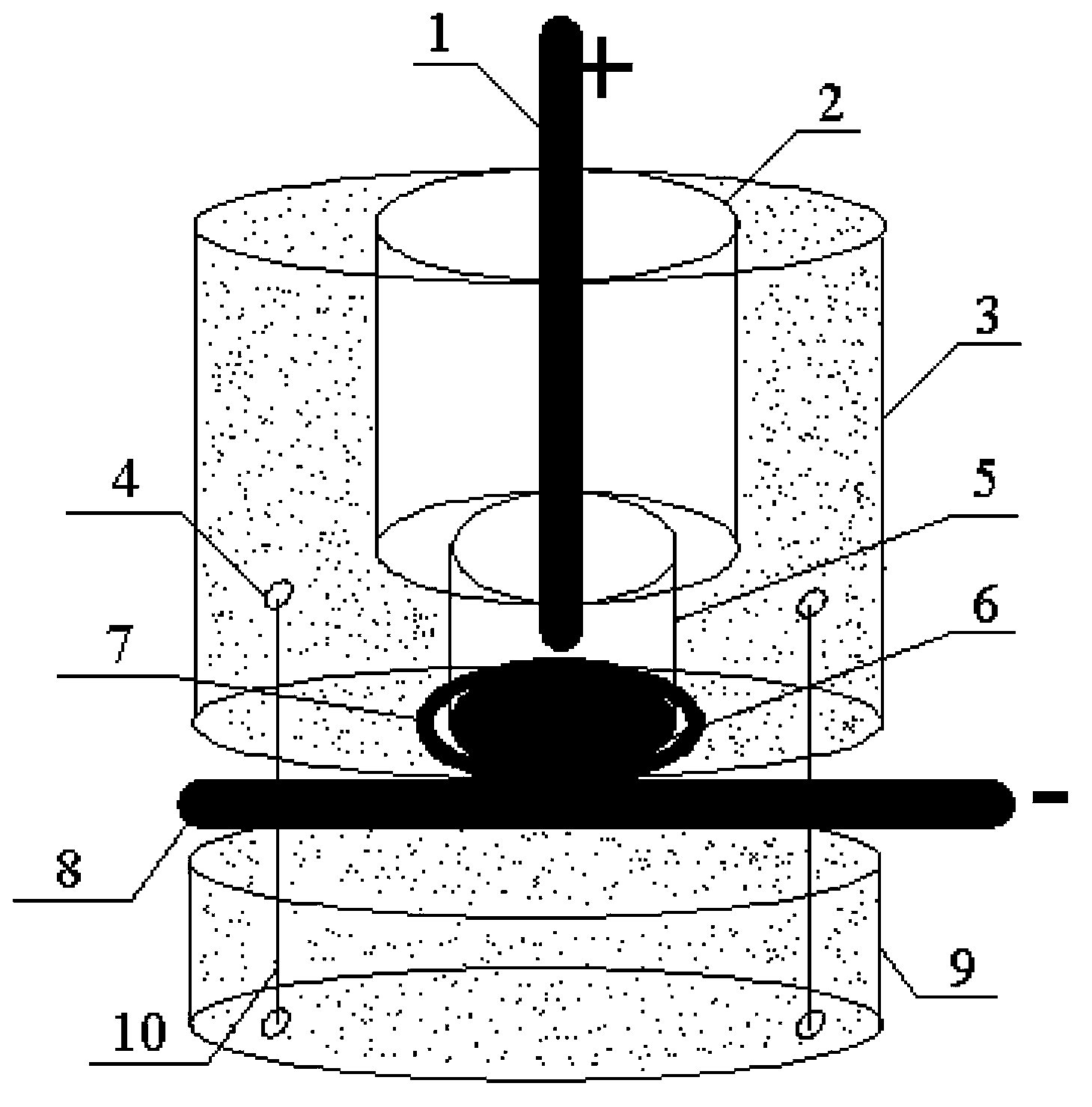 Device and method for detecting electron transfer in process of electrically promoted microorganism denitrification