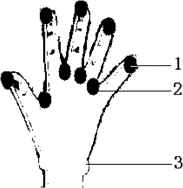 Dynamic gesture control system and method