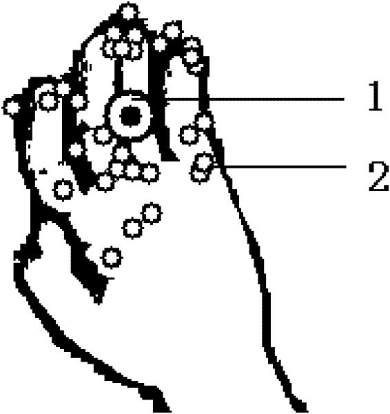 Dynamic gesture control system and method