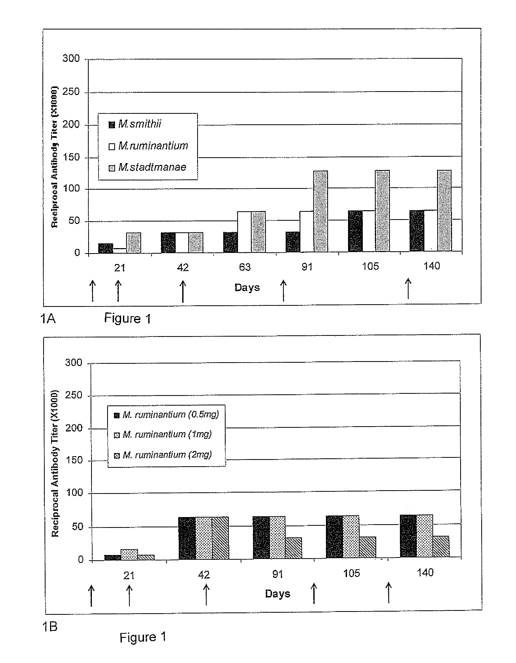 Use of avian anti-methanogen antibodies for reduction of methane production