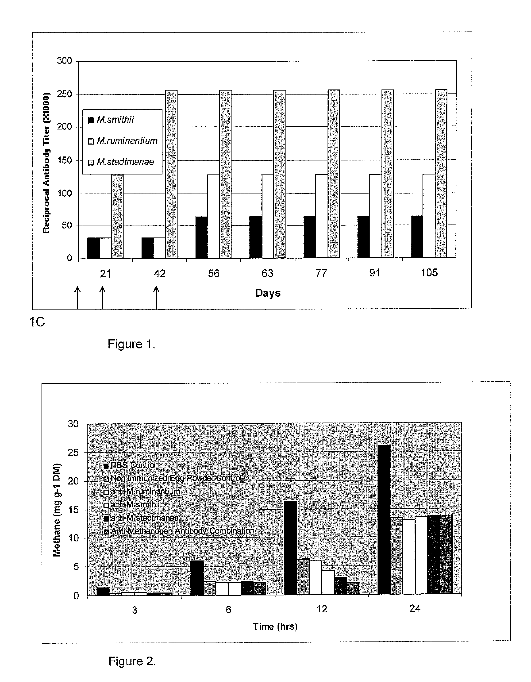 Use of avian anti-methanogen antibodies for reduction of methane production