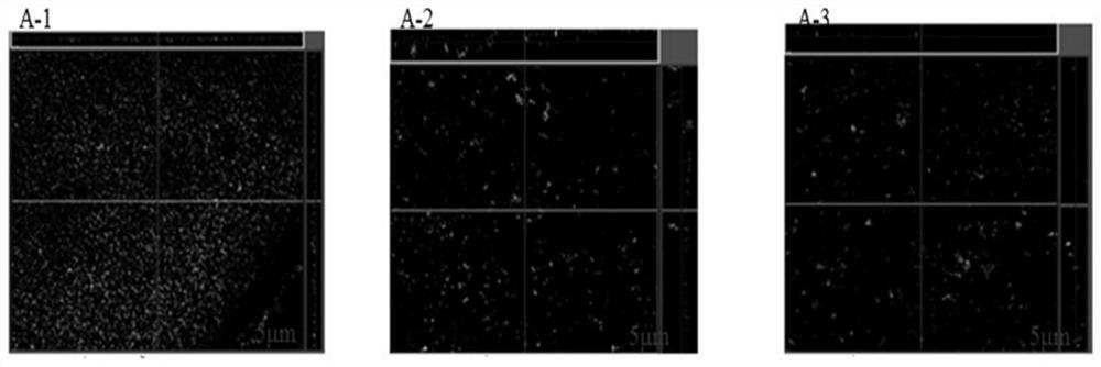 A kind of anti-biological fouling composite membrane modified by quinolone signal molecule inhibitor and preparation method thereof