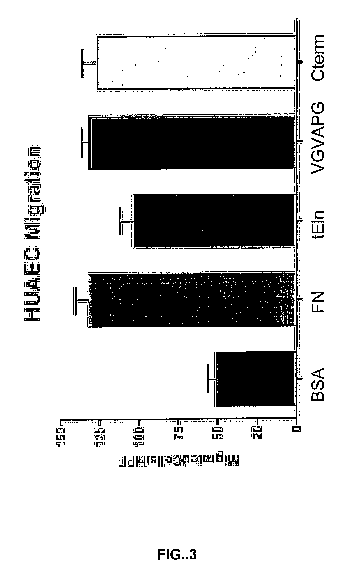 Tropoelastin for promoting endothelial cell adhesion or migration