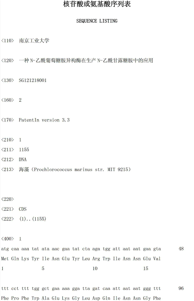 Application of N-acetylglucosamine isomerase in production of N-acetylmannosamine