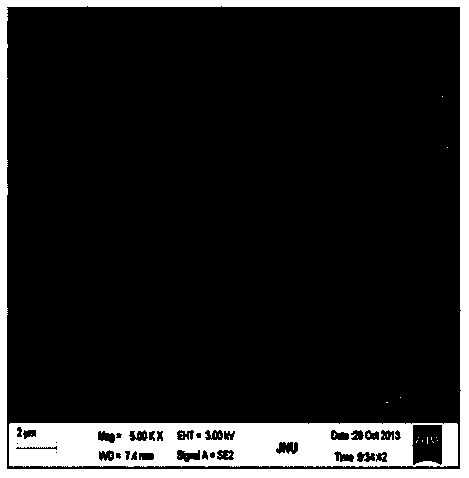 Nitrogen-removing biological filter device and application thereof in treatment of micro-polluted source water