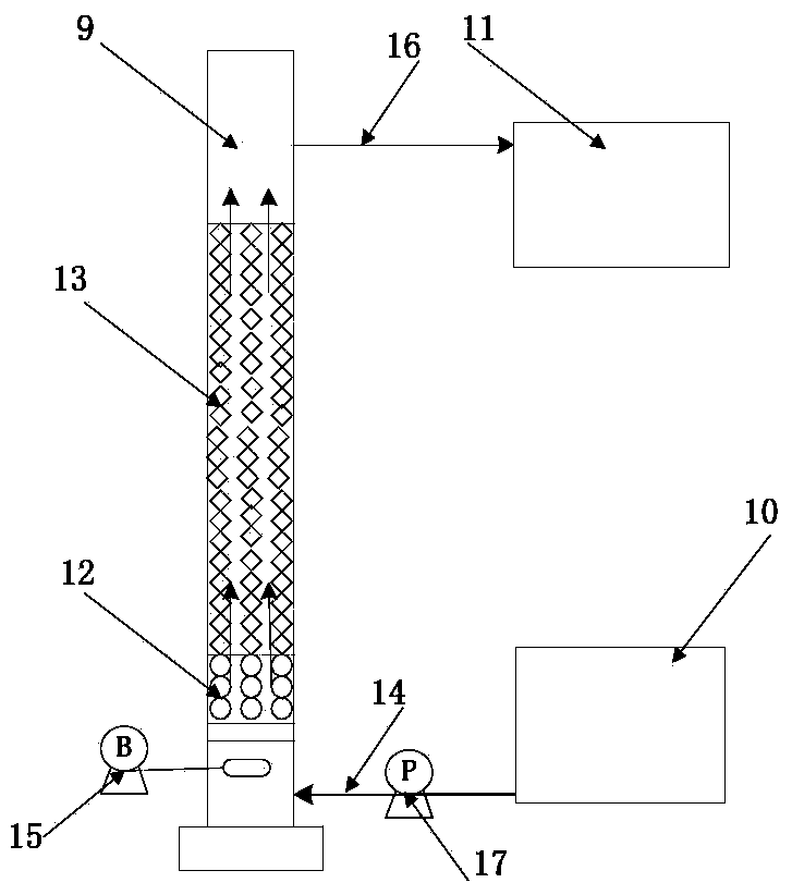 Nitrogen-removing biological filter device and application thereof in treatment of micro-polluted source water