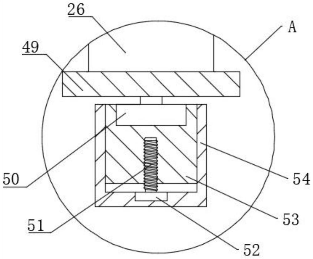 Rapid dehydration and fermentation cowpea production line and production and processing technology