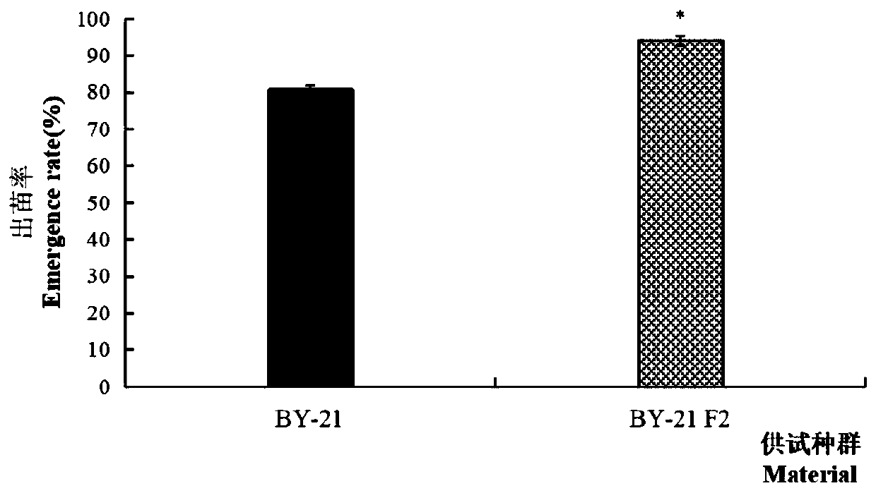 Method for evaluating fitness of hybridization or backcrossing offspring of Glycine max and Glycine soja Sieb.et Zucc.