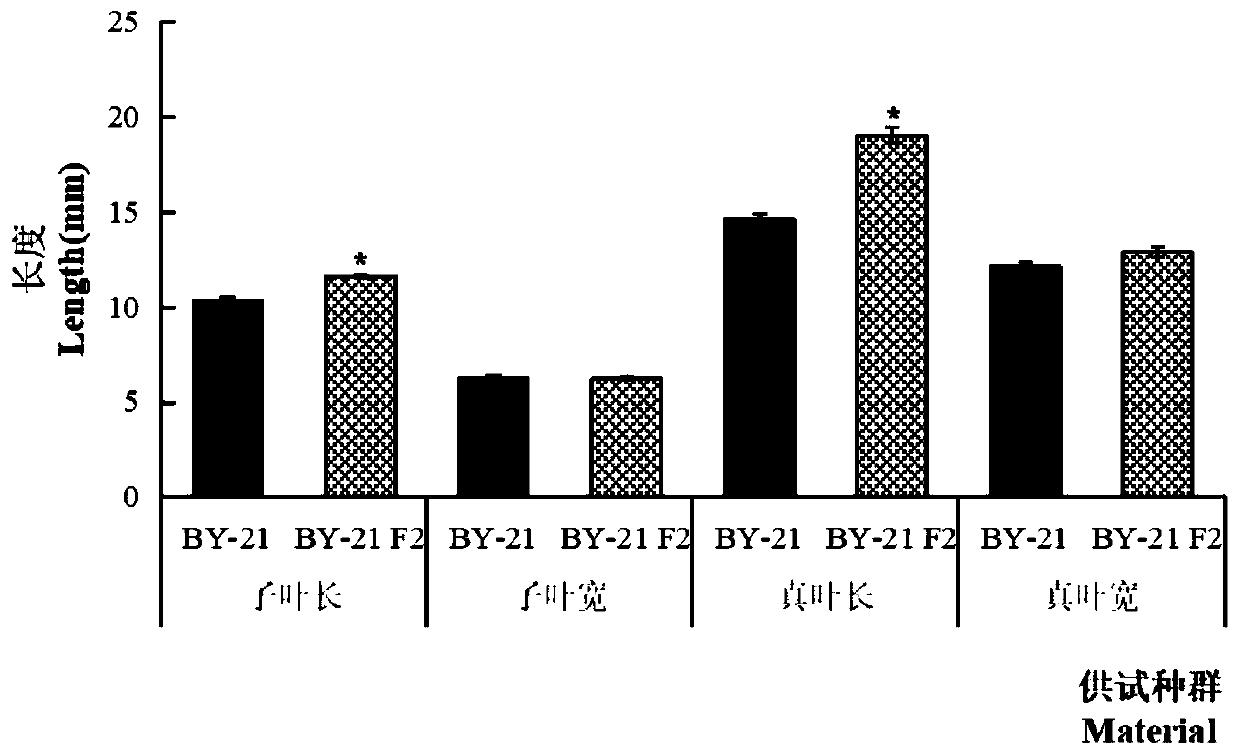 Method for evaluating fitness of hybridization or backcrossing offspring of Glycine max and Glycine soja Sieb.et Zucc.