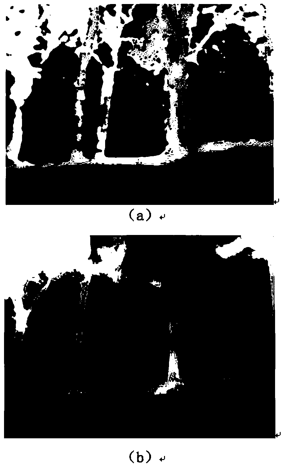 A depth image restoration method for a depth camera