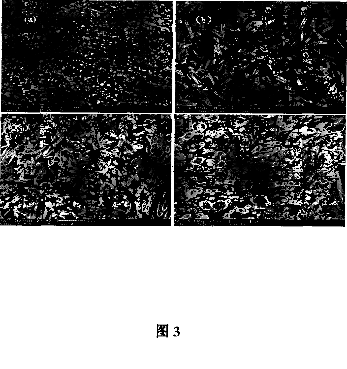 Surface-sensitive condenser type gas transducer and manufacturing method thereof