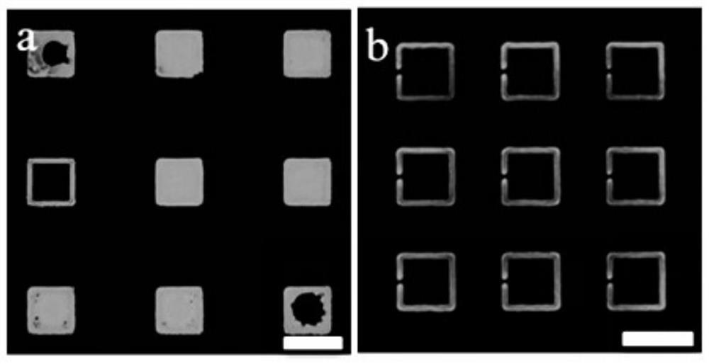 A manufacturing method and application of a non-replicable perovskite fluorescent anti-counterfeiting label