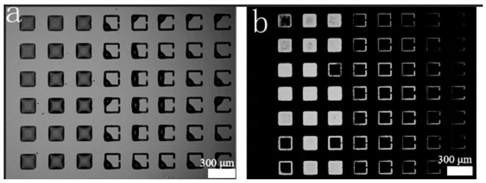 A manufacturing method and application of a non-replicable perovskite fluorescent anti-counterfeiting label