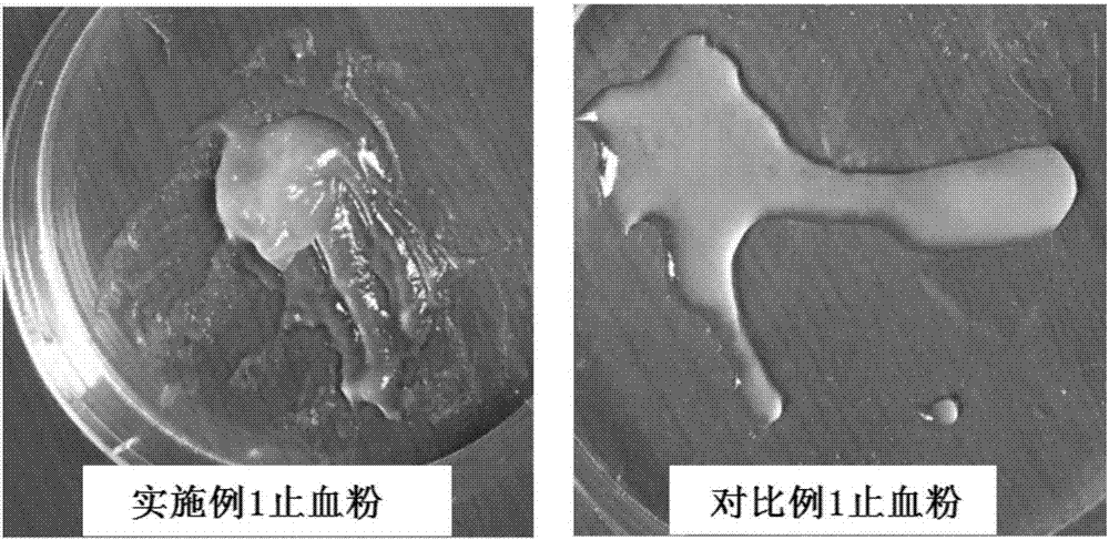 Styptic powder and preparation method thereof