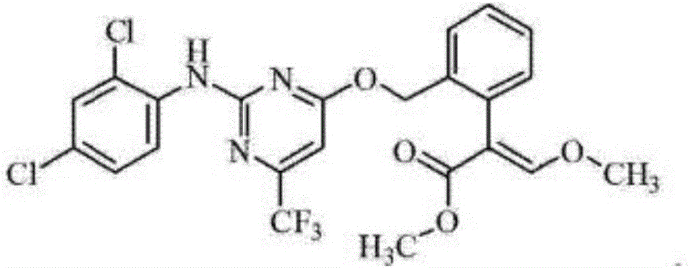 Insecticide composition