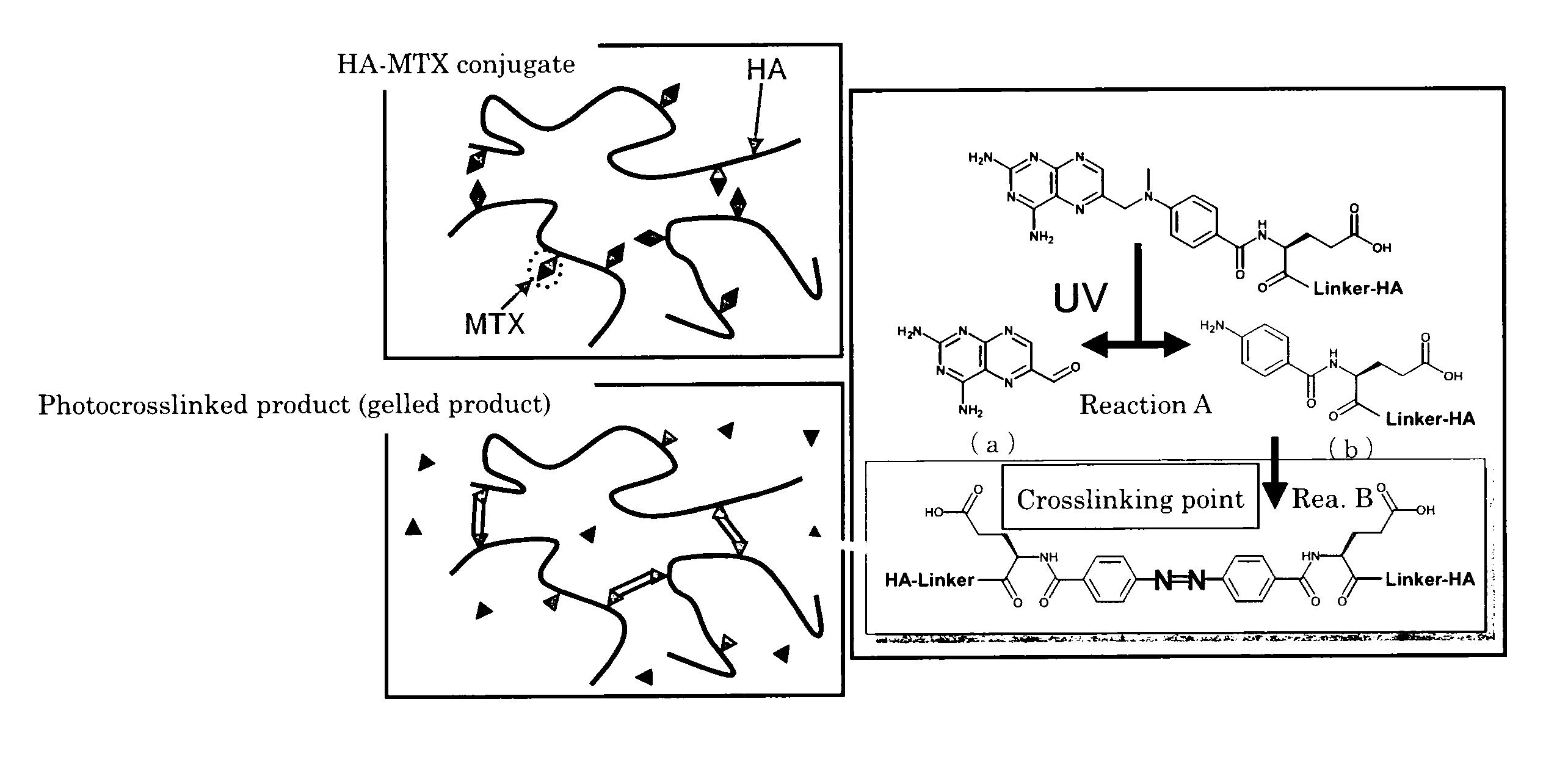 Photostabilized pharmaceutical compositions