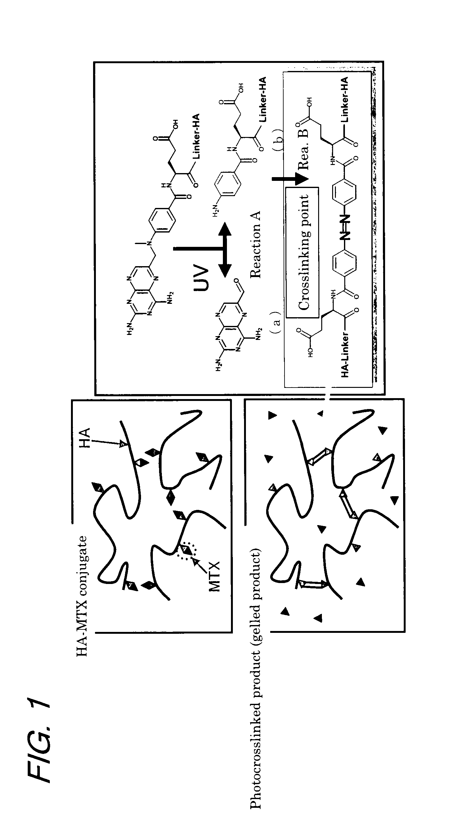 Photostabilized pharmaceutical compositions