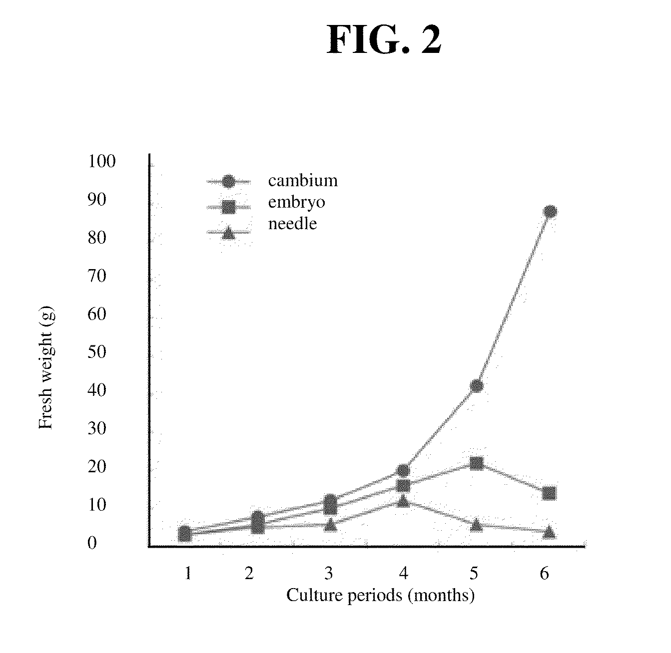 Isolated population of plant single cells and method of preparing same