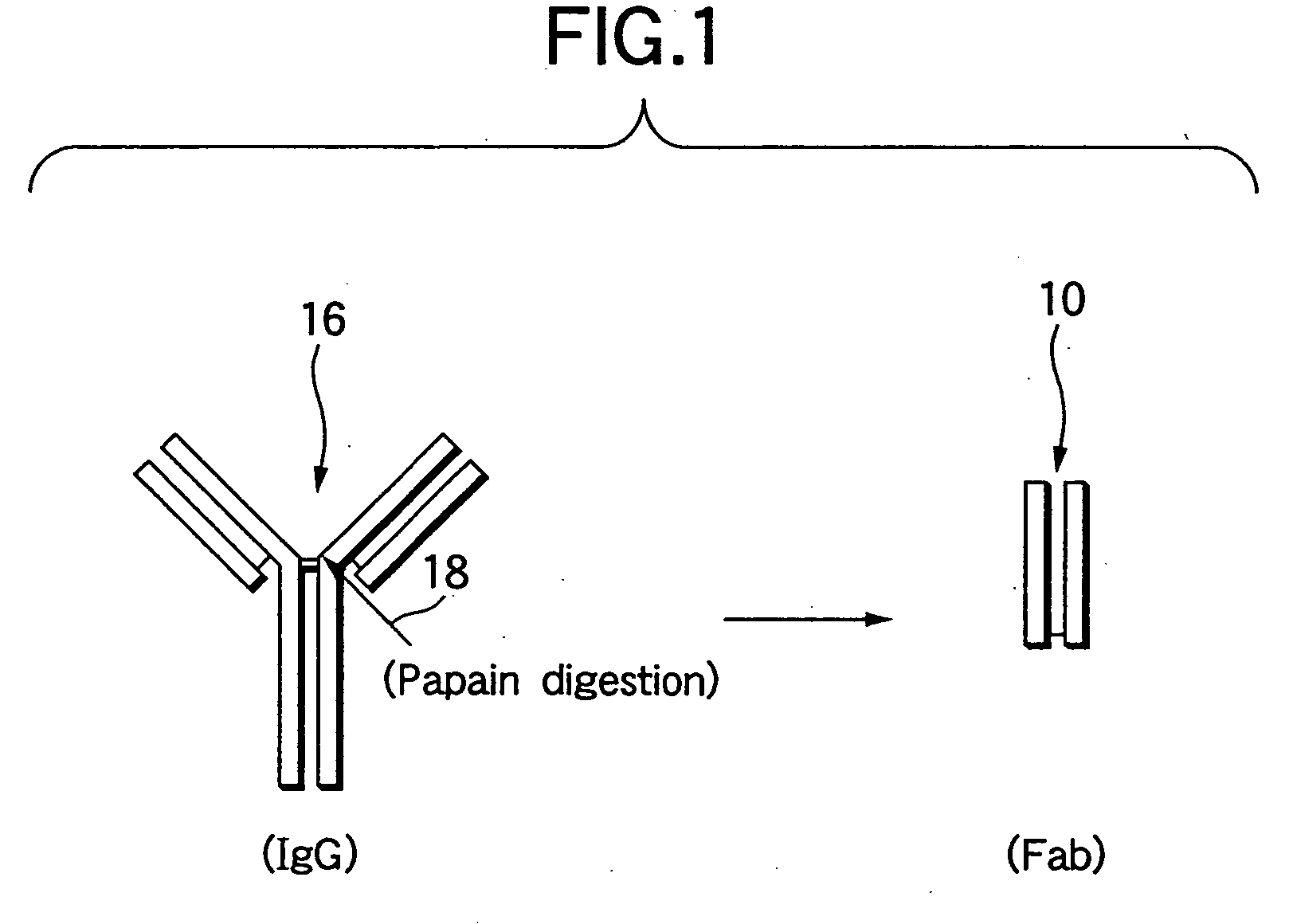 Parenteral pharmaceutical composition containing humanized monoclonal antibody fragment and stabilizing method thereof