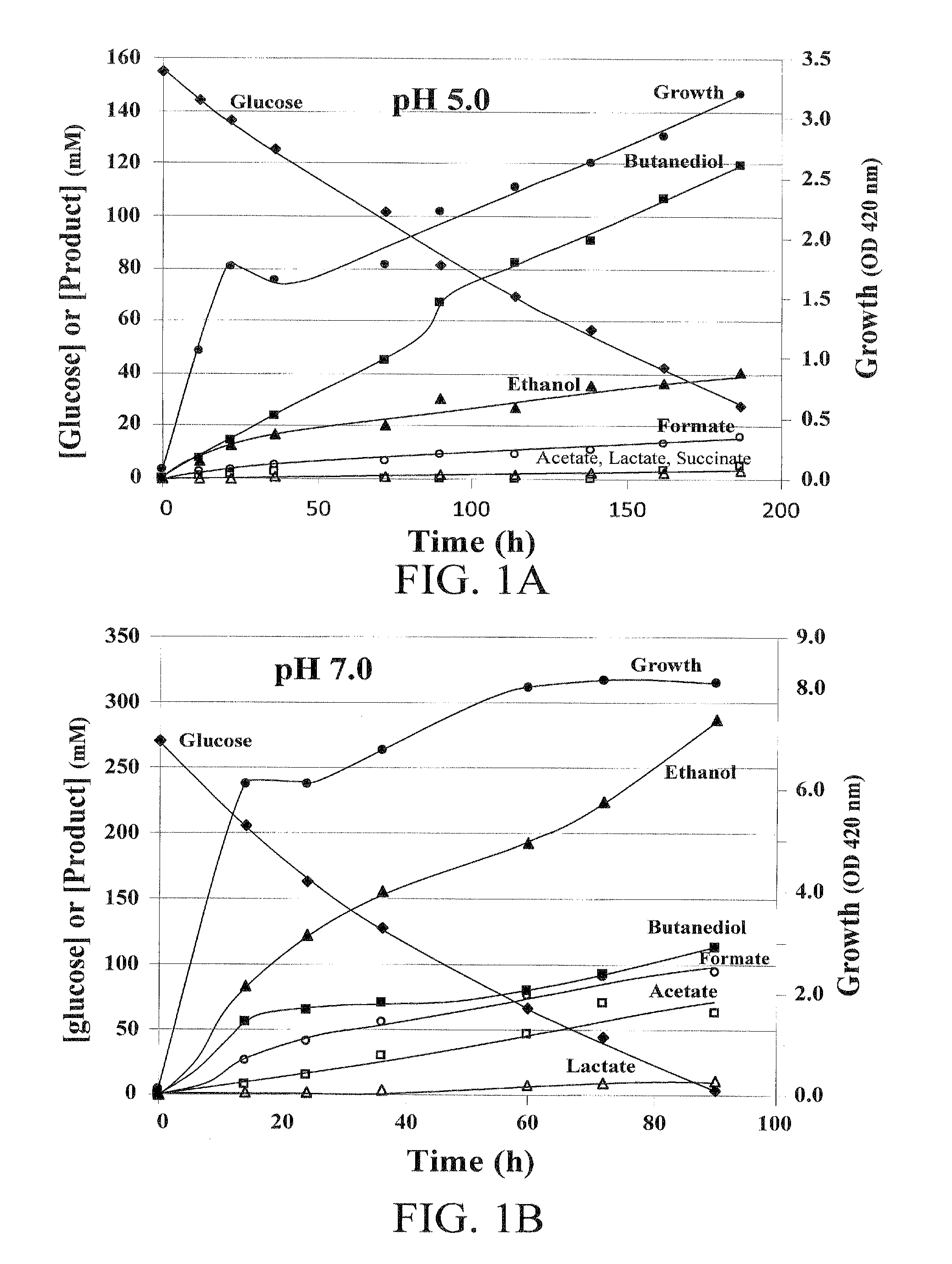 Engineering of thermotolerant bacillus coagulans for production of d(-)-lactic acid