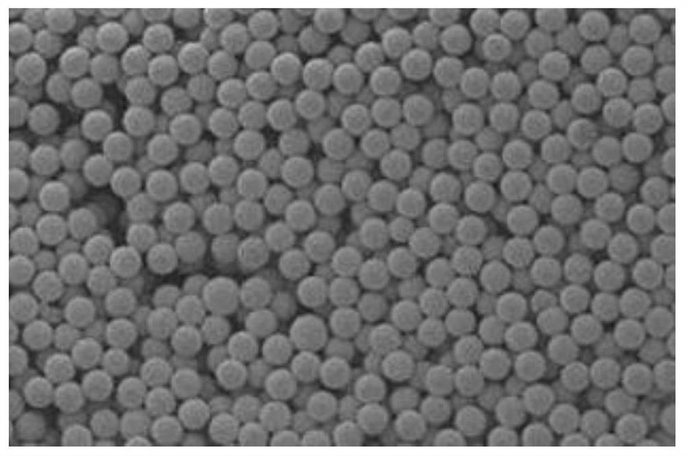 radioactive glass microspheres