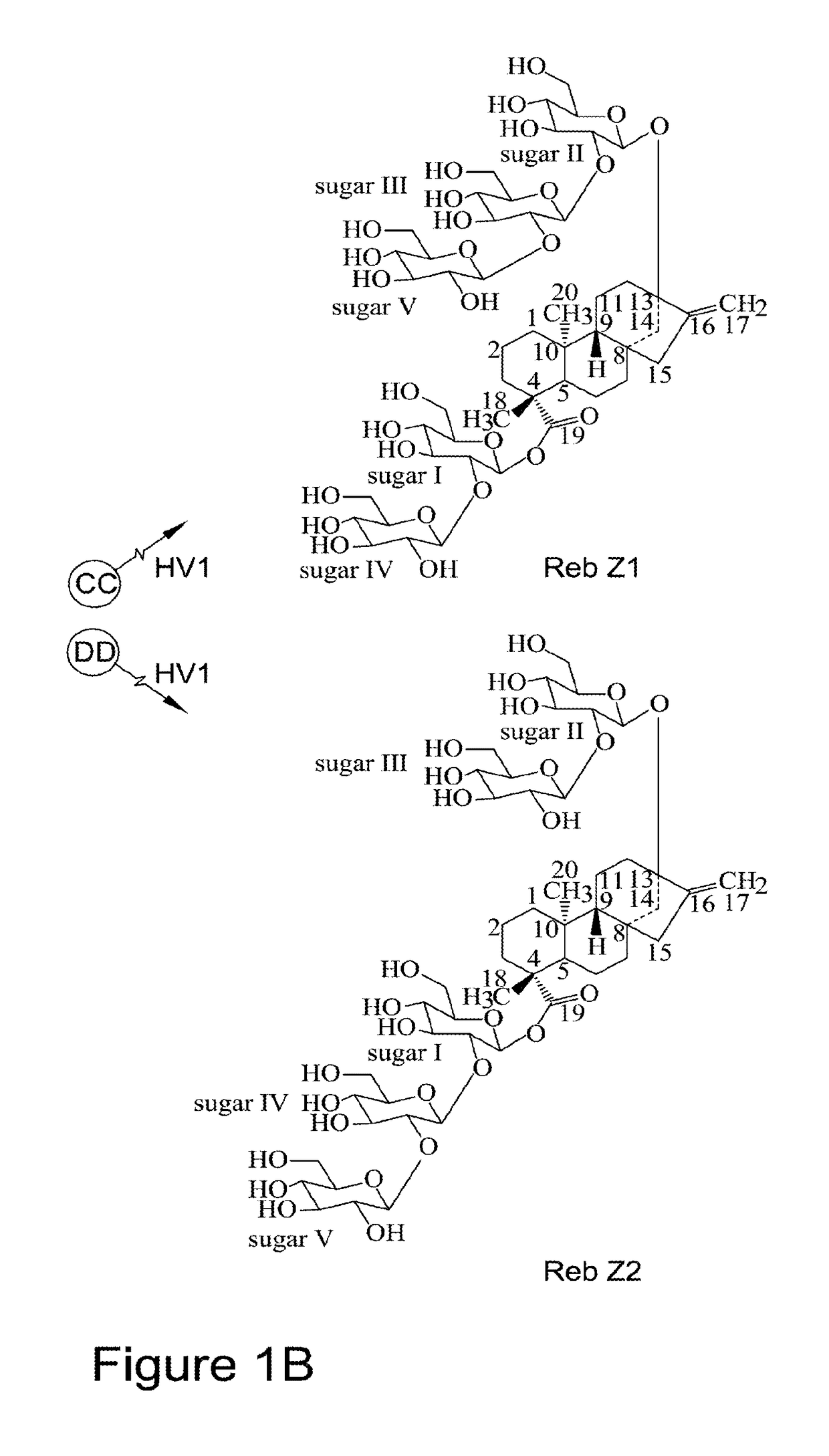 Recombinant production of steviol glycosides