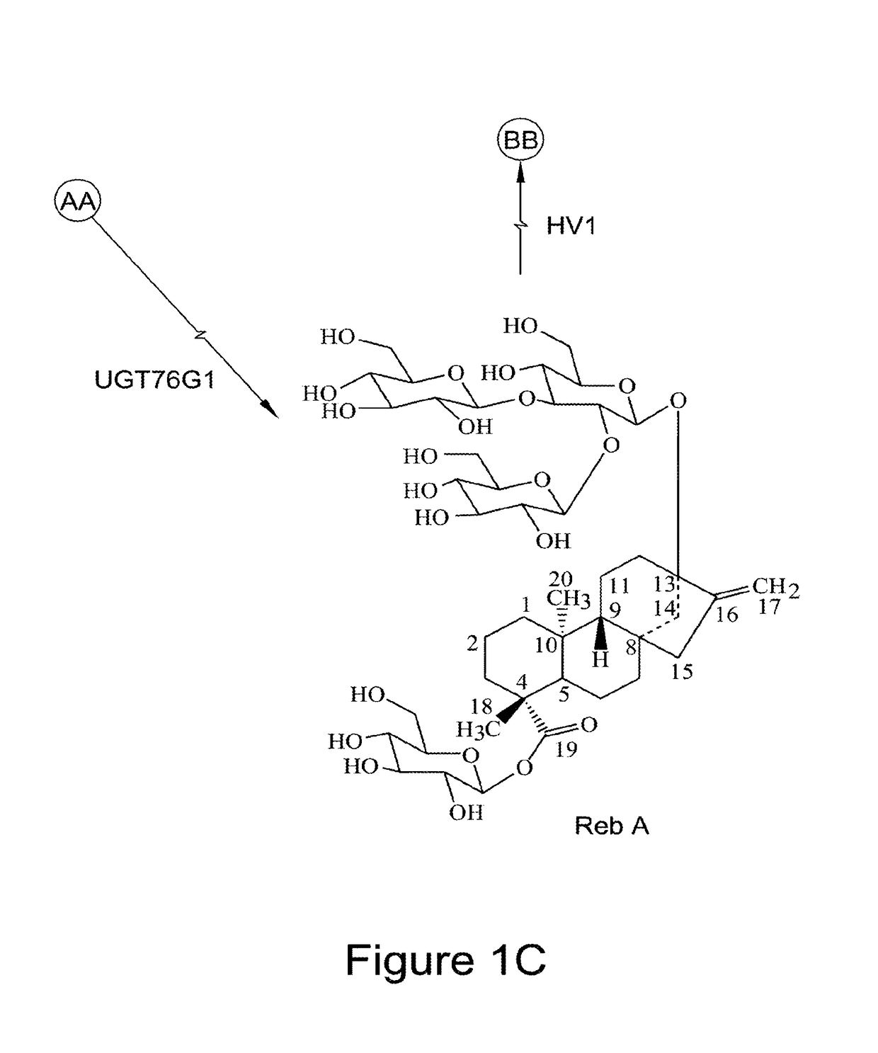 Recombinant production of steviol glycosides