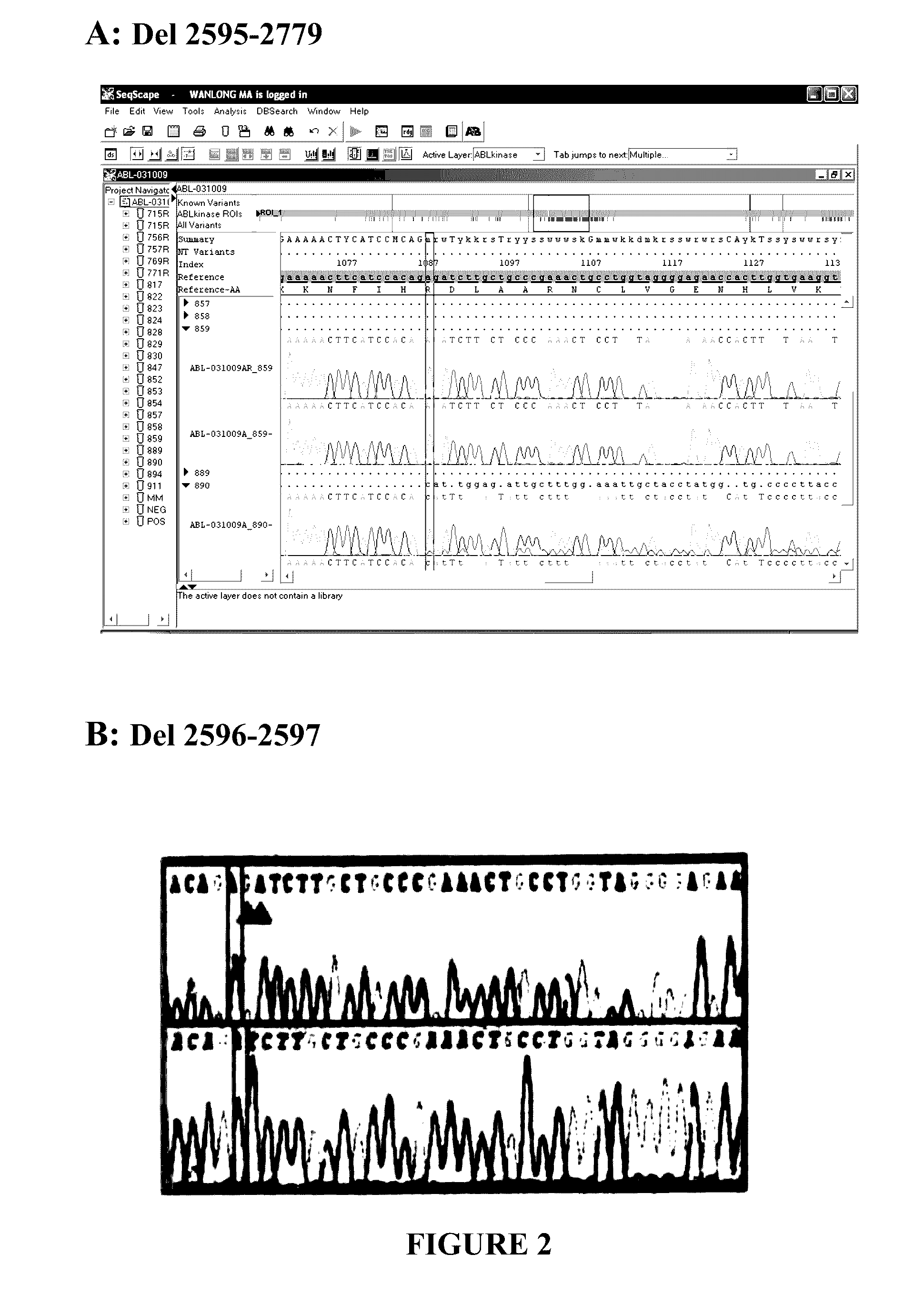 BCR-ABL truncation mutations