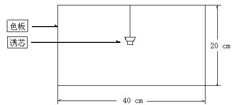 A method of trapping and preventing tea aphids