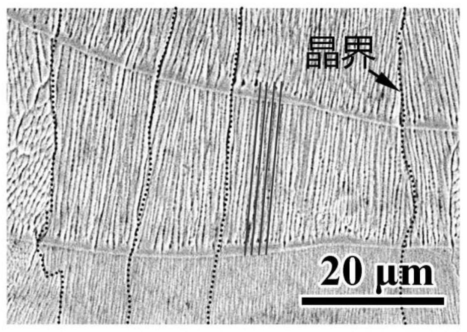 Preparation method of high-performance fine-grain FeCoCrNi alloy