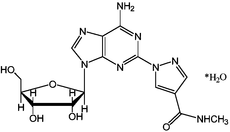 Scale-up production method of Regadeson Injection