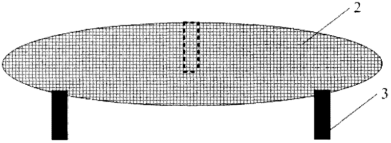 Asexual propagation method of liverwort