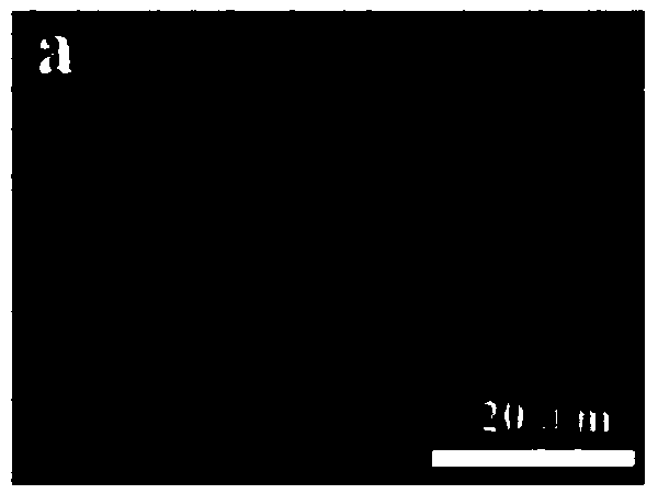 Preparation method and application for amphiphilic naphthoyl diimide gelator