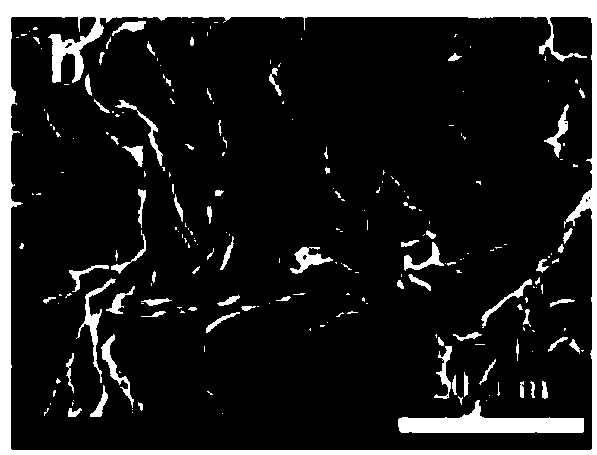 Preparation method and application for amphiphilic naphthoyl diimide gelator