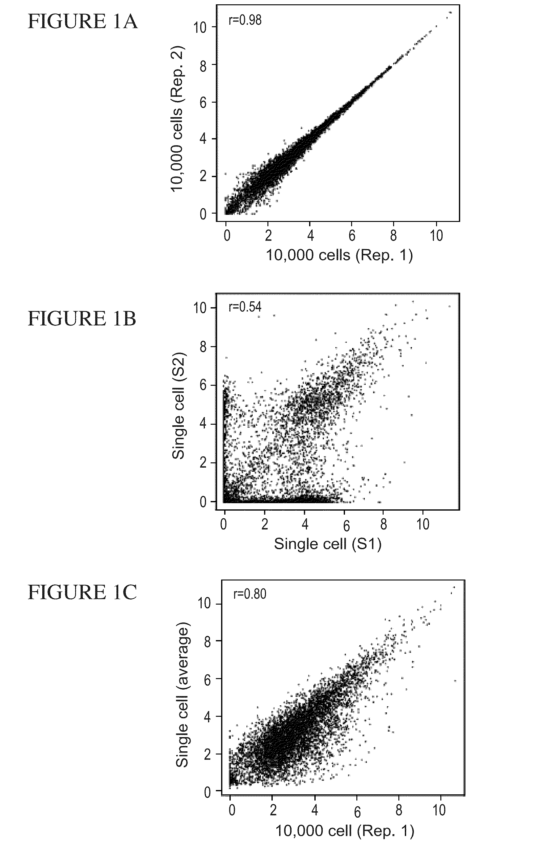 Dendritic cell response gene expression, compositions of matters and methods of use thereof