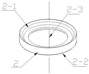 Fuel injector supporting ring capable of effectively reducing work noise of gasoline direct injection engine