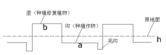 Method for restoring and using agricultural land contaminated by heavy metal