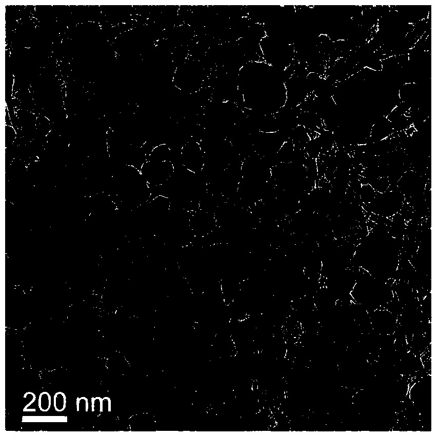 Preparation method of cobalt sulfide/three-dimensional nitrogen-doped macroporous graphene and negative electrode material of lithium ion battery