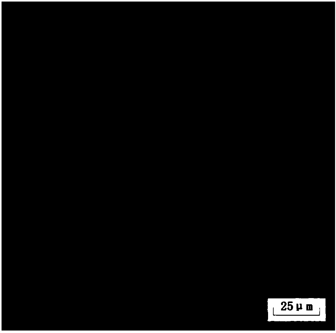 Manufacture method of extremely-thick steel plate for hydropower station through continuous-cast billet