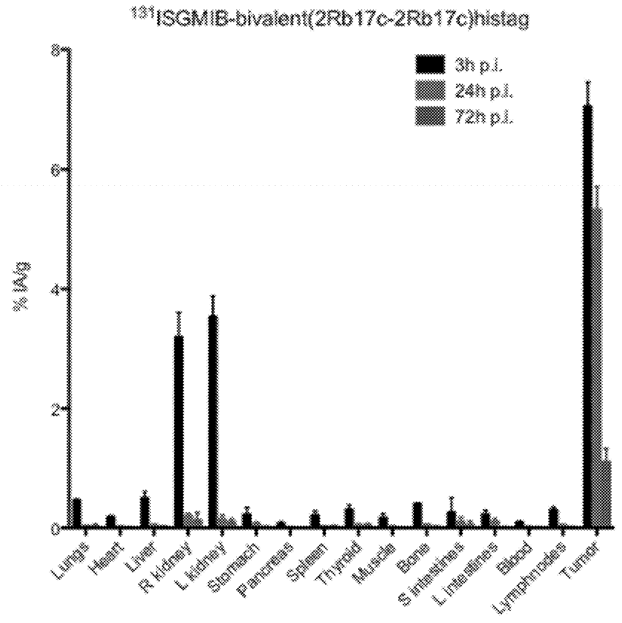 Radio-labelled antibody fragments for use in the prevention and/or treatment of cancer