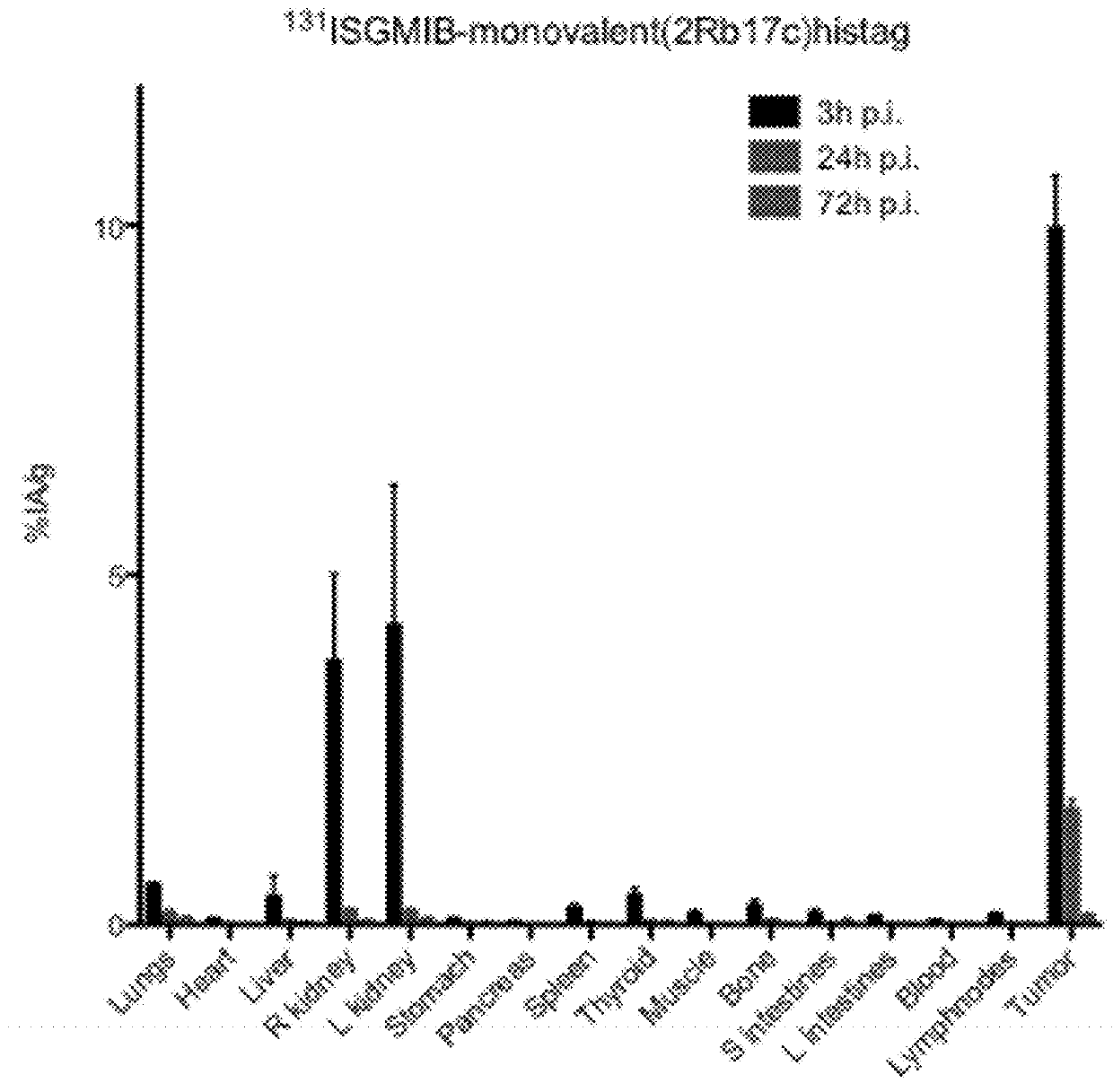 Radio-labelled antibody fragments for use in the prevention and/or treatment of cancer