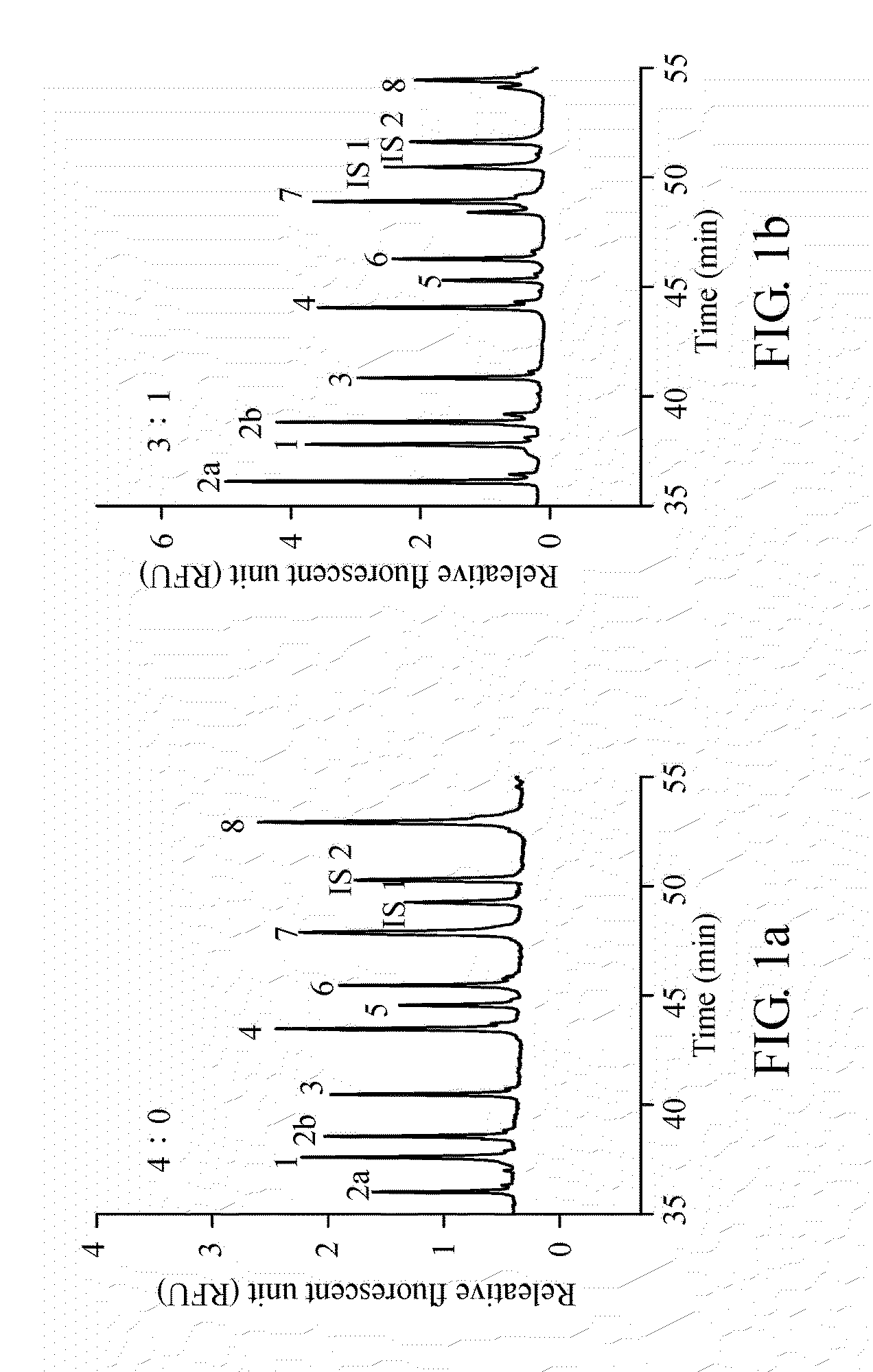 Method for diagnosing spinal muscular atrophy