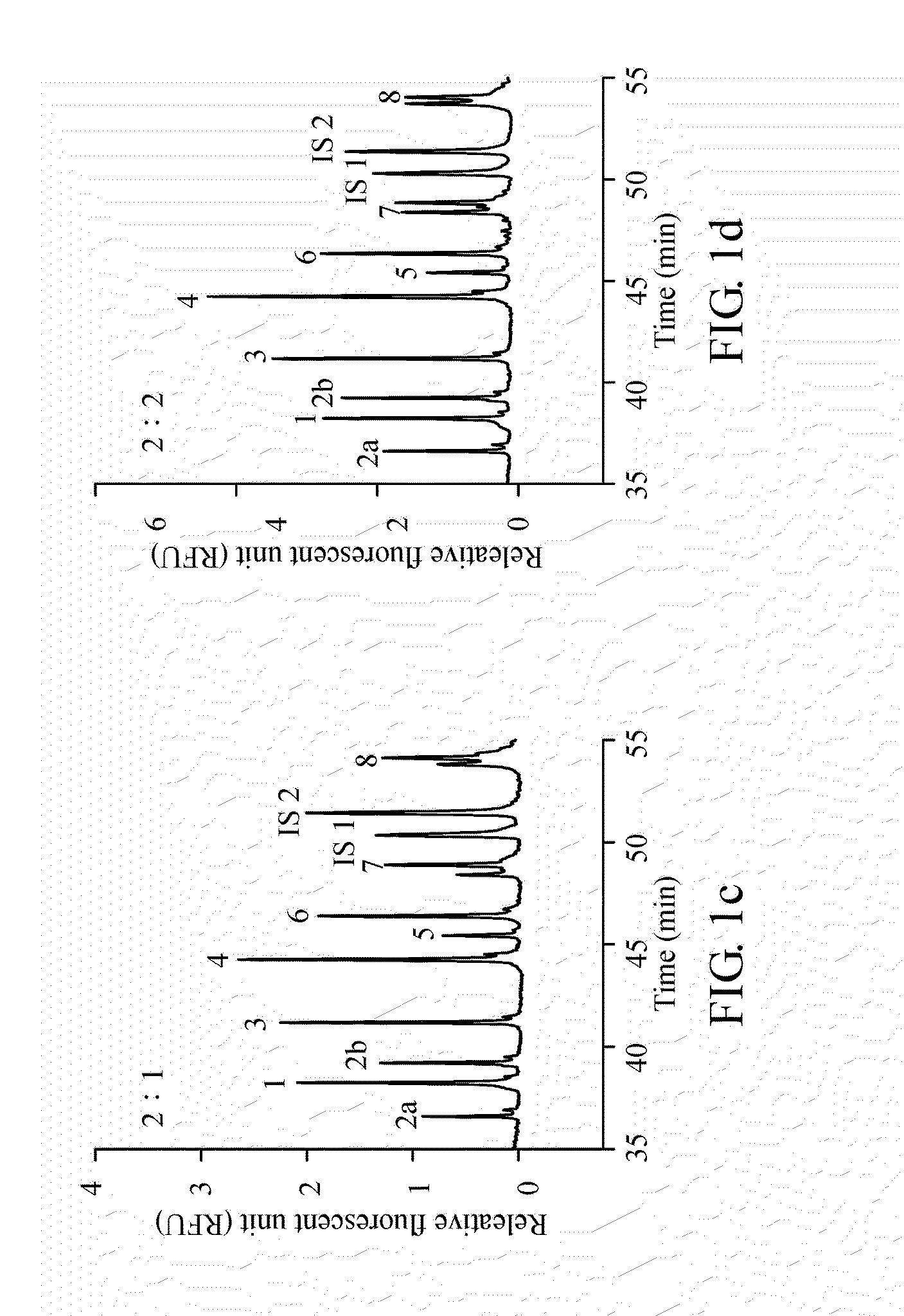 Method for diagnosing spinal muscular atrophy