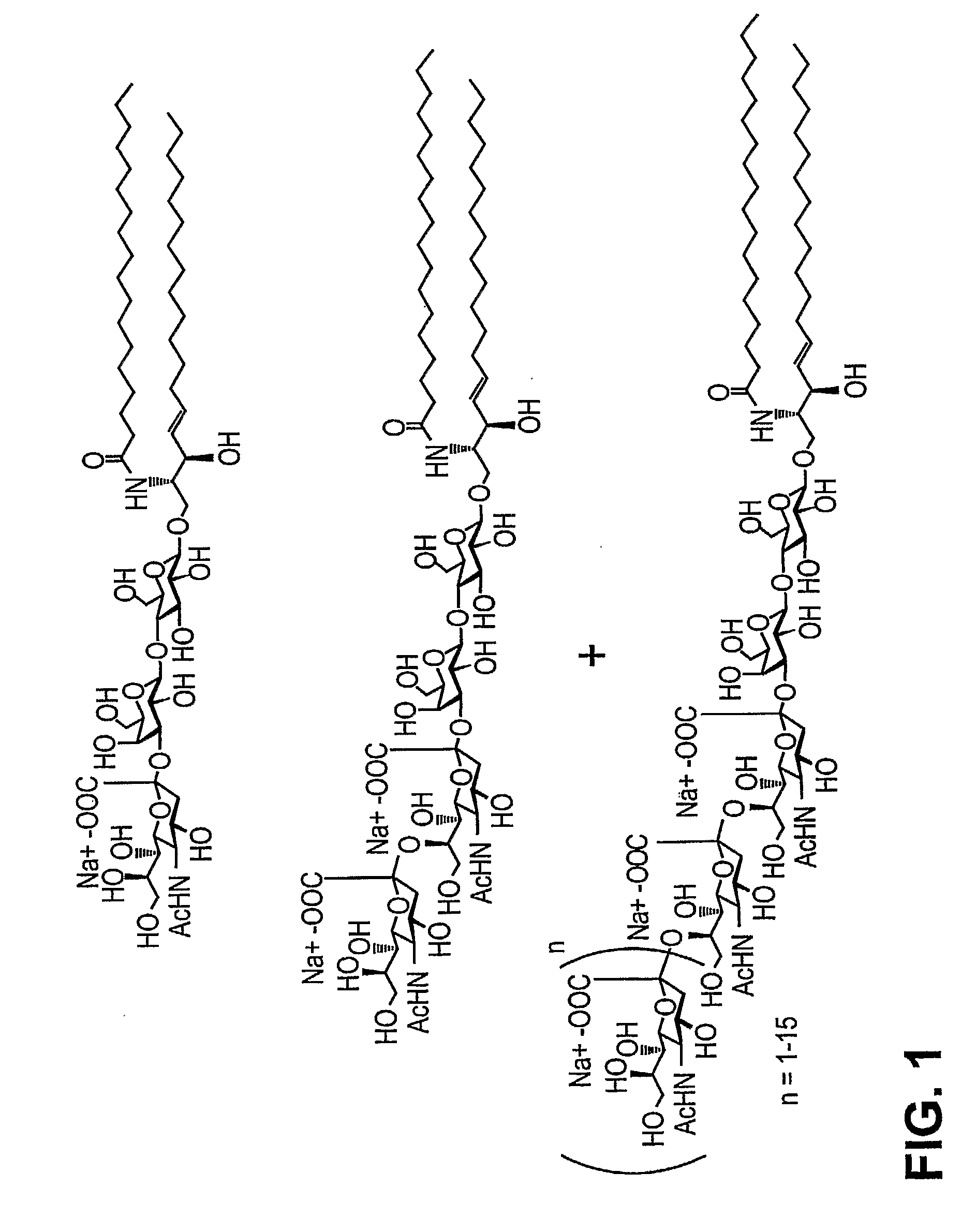 Mutant Endoglycoceramidases With Enhanced Synthetic Activity