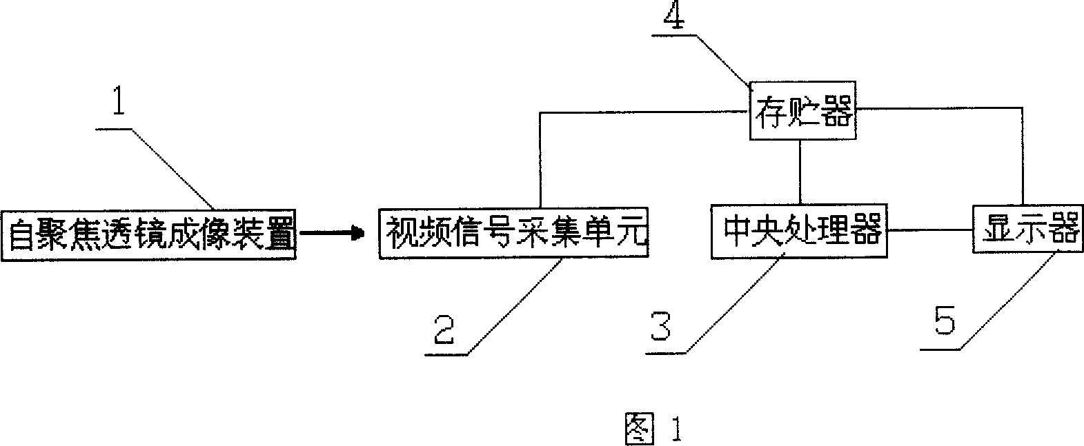 Oral cavity image diagnostic device