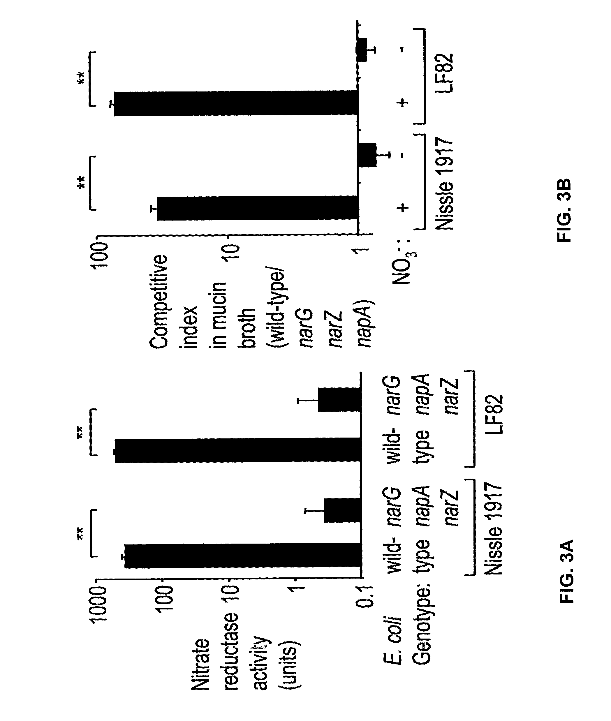 Tungstate treatment of the dysbiosis associated with gastrointestinal inflammation