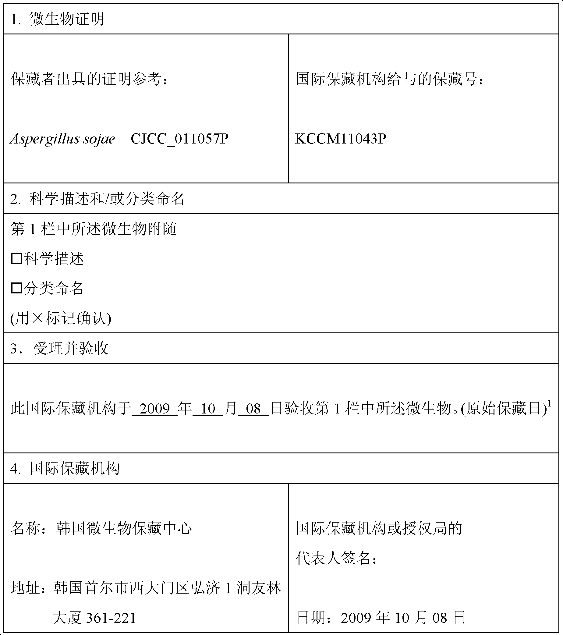 Mutant strain of aspergillus sojae with enhanced protease activity and preparation method of natural taste enhanced using the same