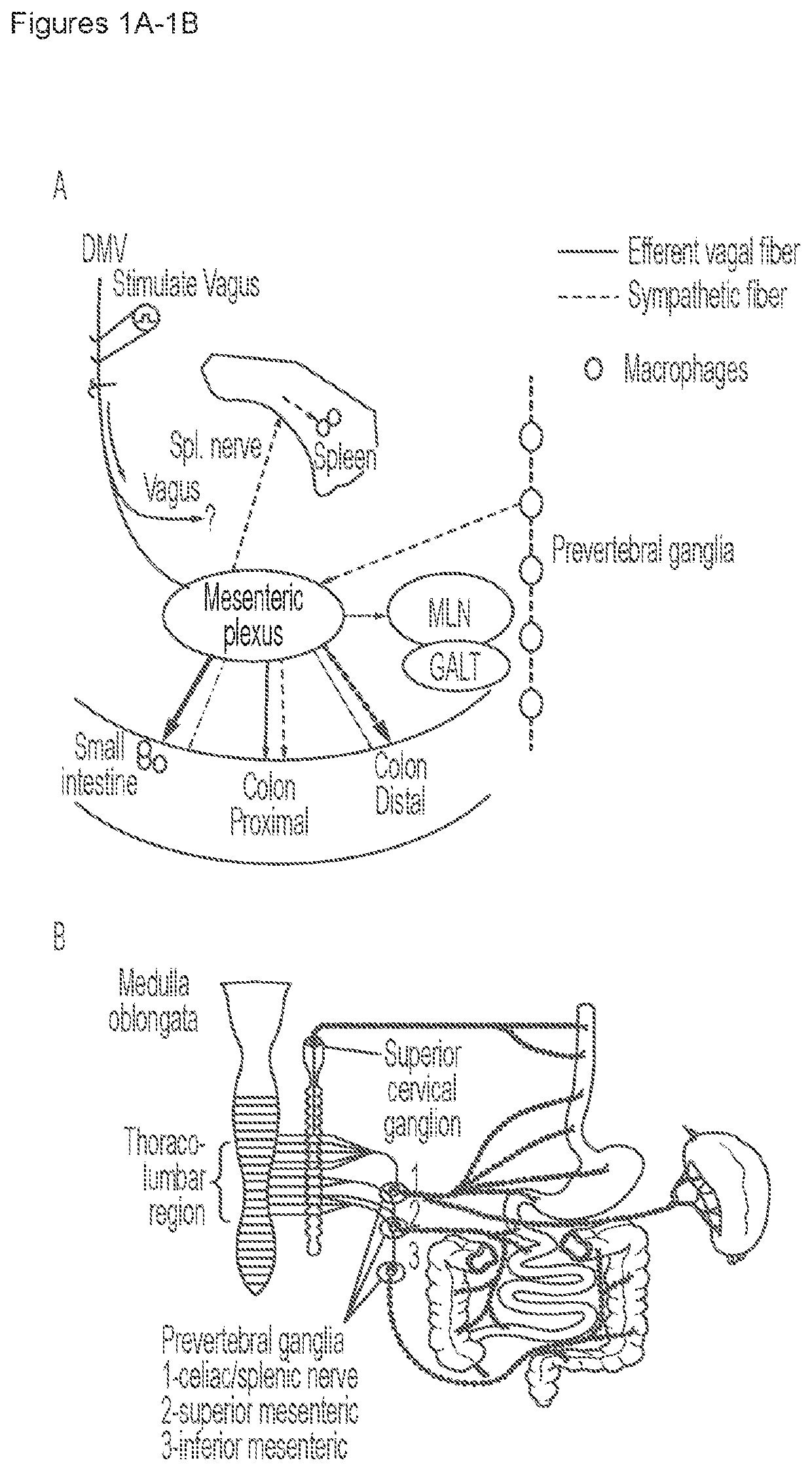 Neuromodulation device