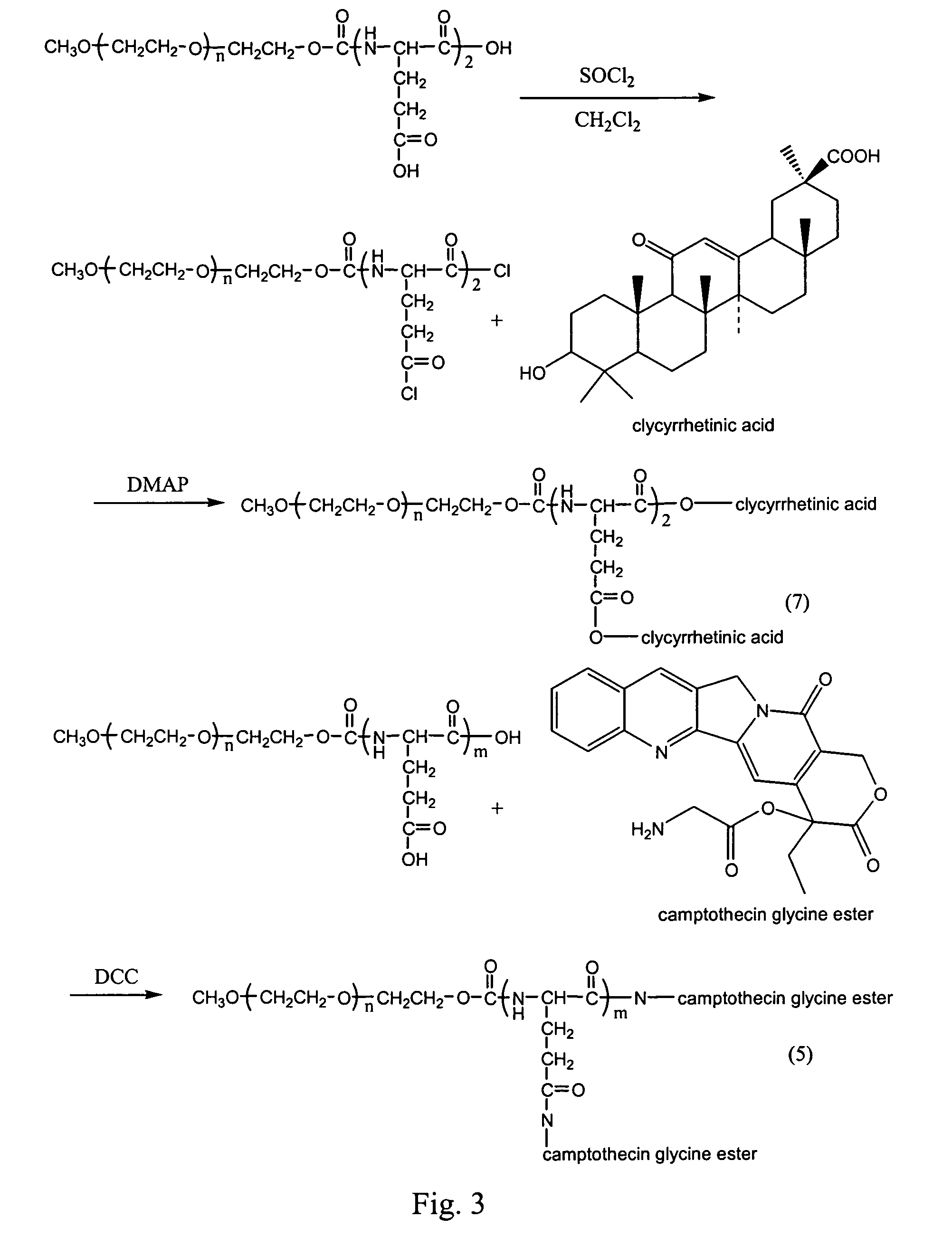 Compounds of hydrophilic polymer-polycarboxyl oligopeptide and medicines, medical composite comprising above compound and use of above compound in medicines